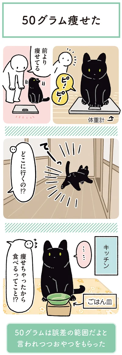 『黒猫ろんと暮らしたら8』より