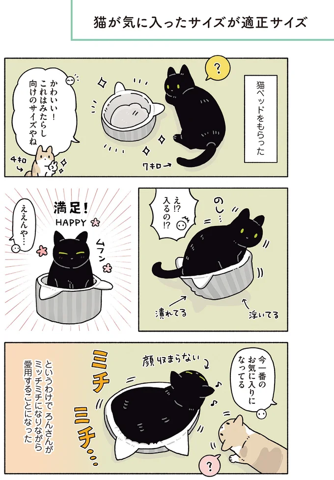 『黒猫ろんと暮らしたら8』より