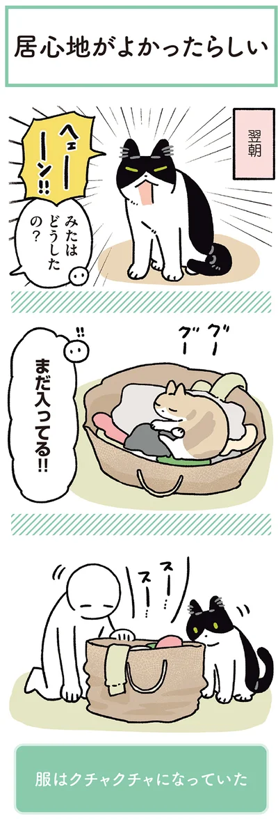 『黒猫ろんと暮らしたら8』より