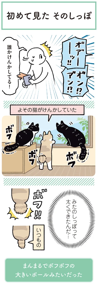 『黒猫ろんと暮らしたら8』より