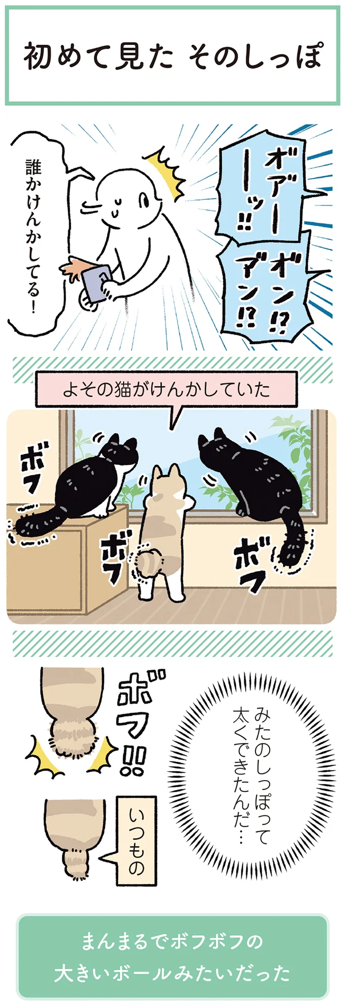 『黒猫ろんと暮らしたら8』より