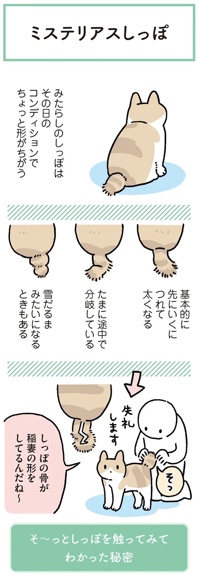 『黒猫ろんと暮らしたら8』より