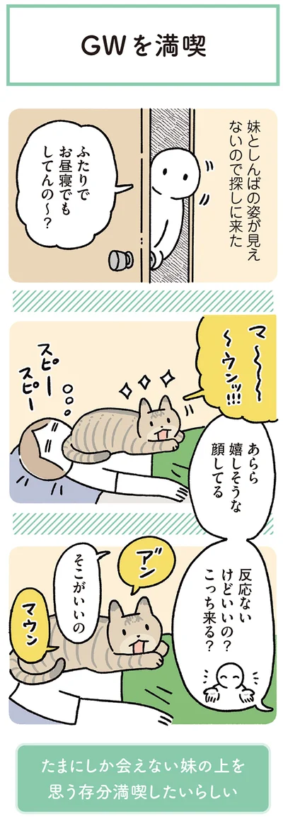 『黒猫ろんと暮らしたら8』より
