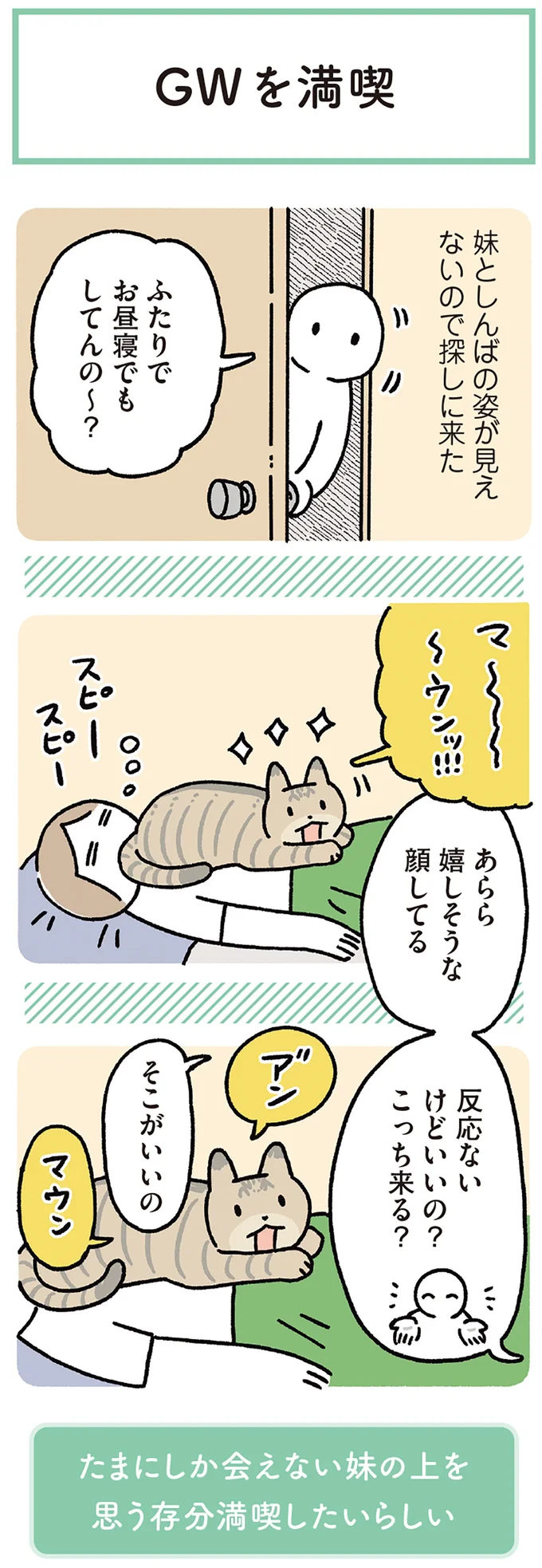『黒猫ろんと暮らしたら8』より