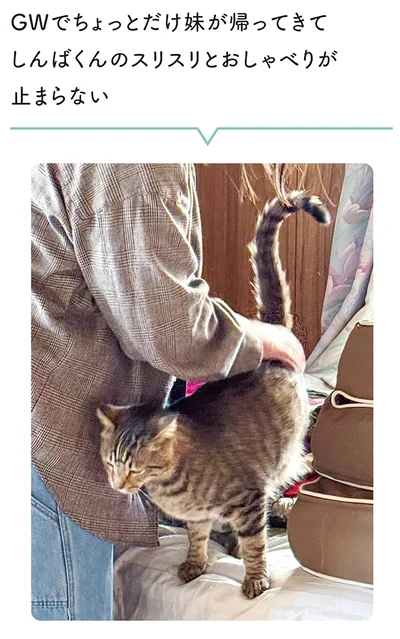 『黒猫ろんと暮らしたら8』より