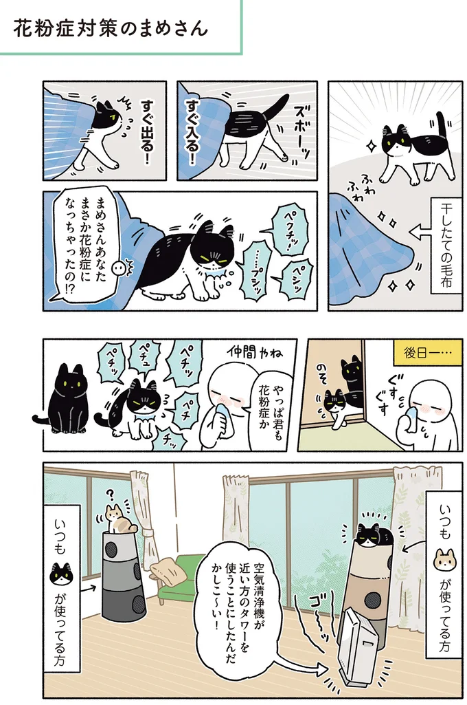 『黒猫ろんと暮らしたら8』より
