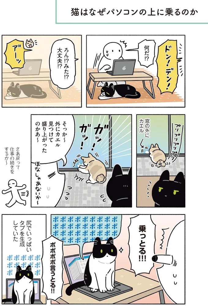 『黒猫ろんと暮らしたら8』より