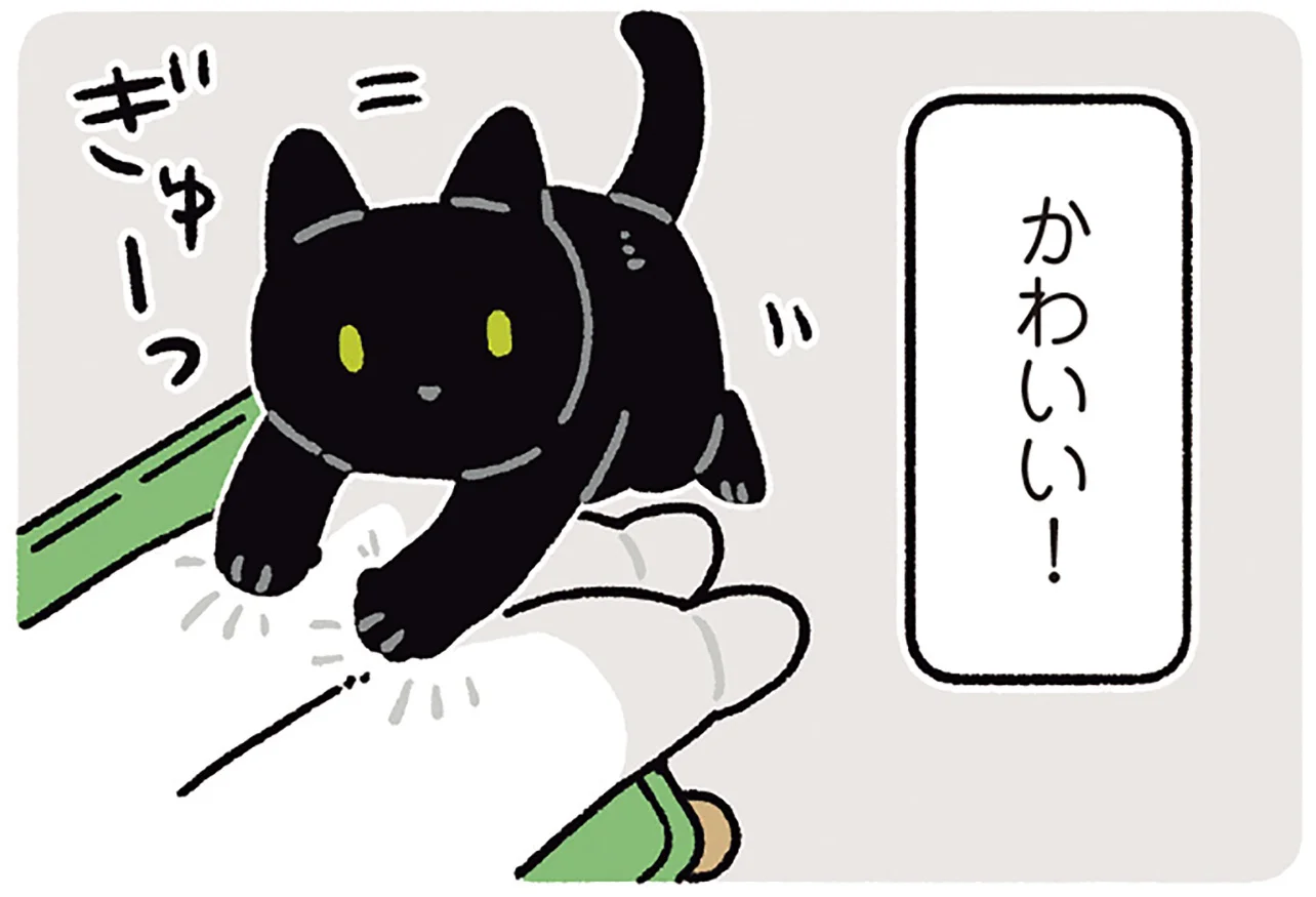 早くかまって」の合図がかわいい！11歳になった黒猫ろん - レタスクラブ