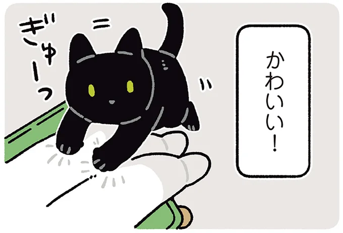 早くかまって