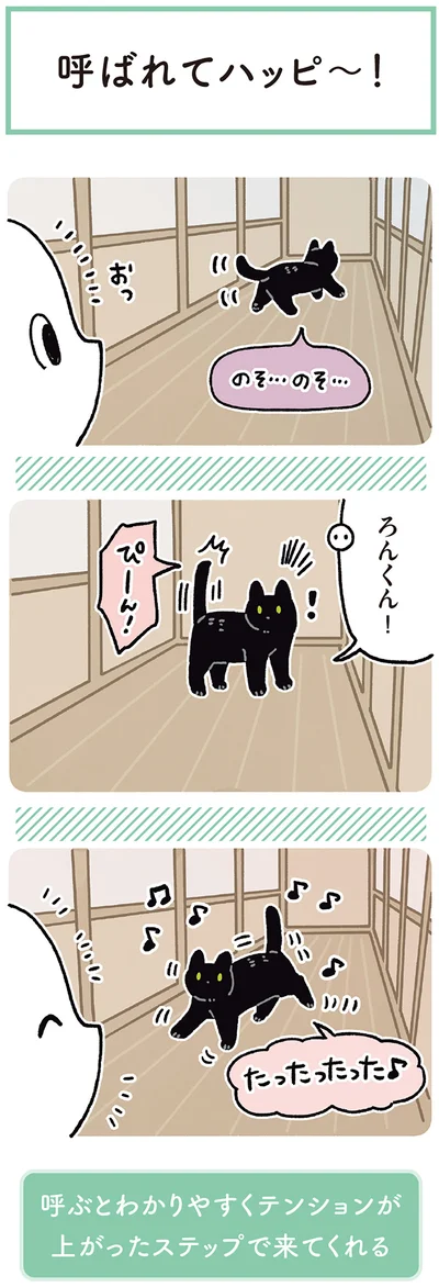 呼ばれてハッピ～！