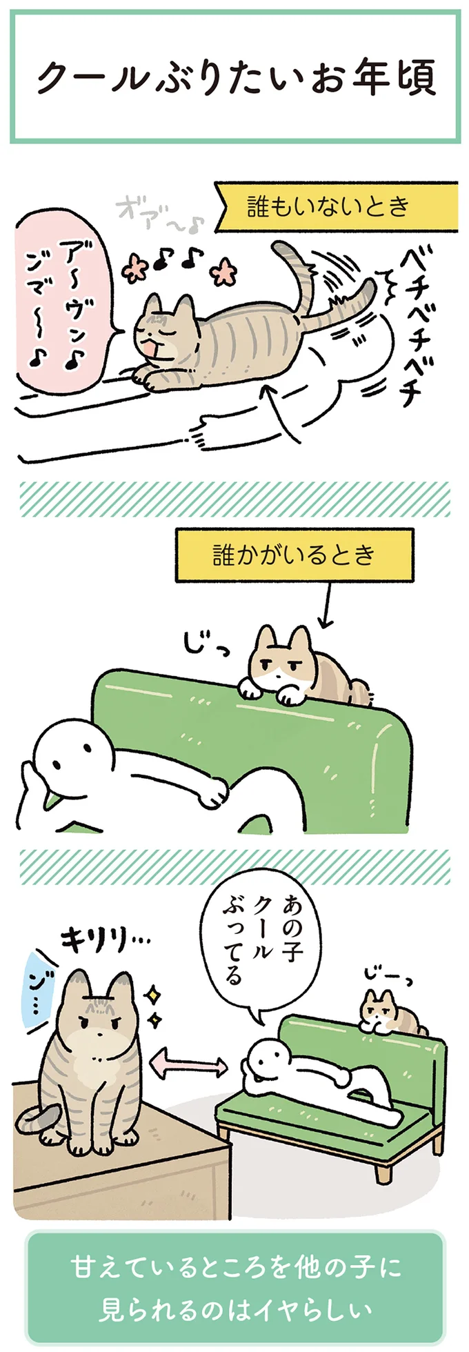 クールぶりたいお年頃