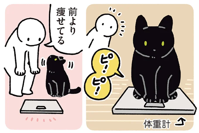 前より痩せてる