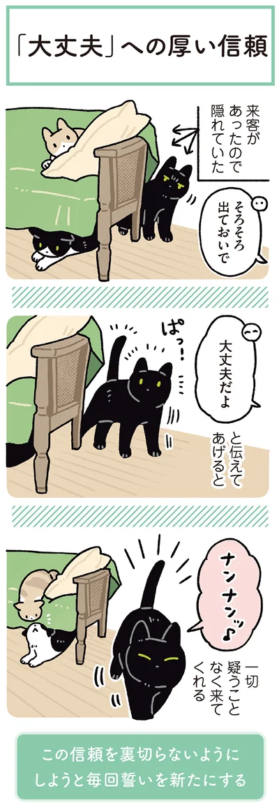 「大丈夫」への厚い信頼