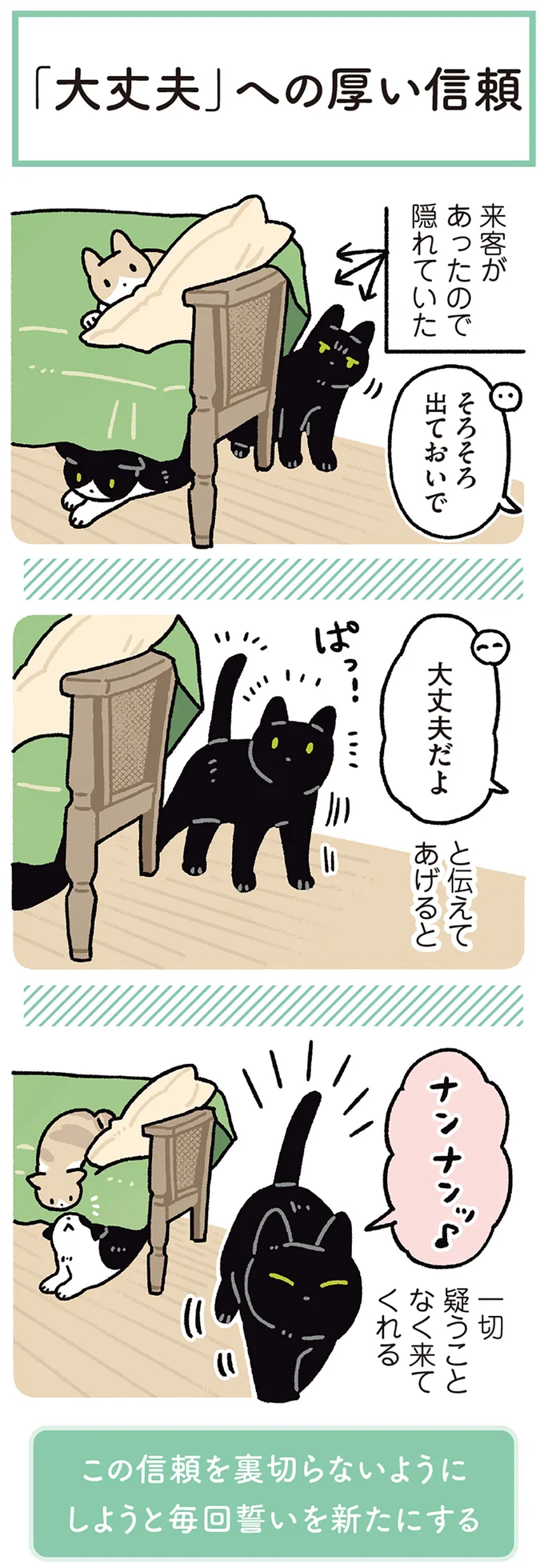 「大丈夫」への厚い信頼