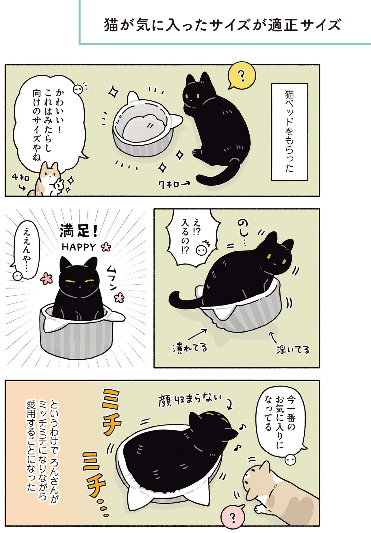 【クロ@猫飼ってます 】 リクエストページ 大丈夫だよ」を全力で信じてくれる。飼い主にまっすぐな信頼を向ける黒
