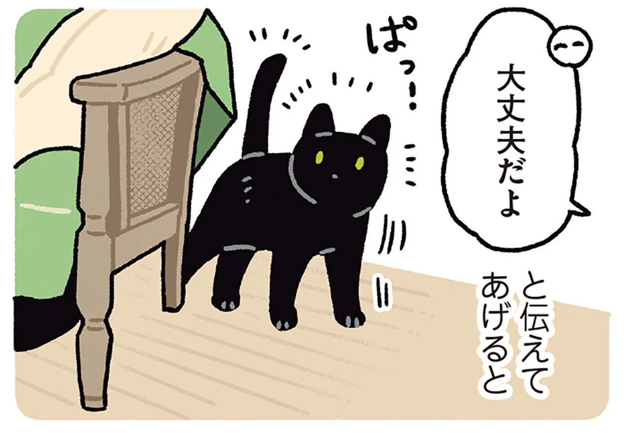 大丈夫だよ」を全力で信じてくれる。飼い主にまっすぐな信頼を向ける黒