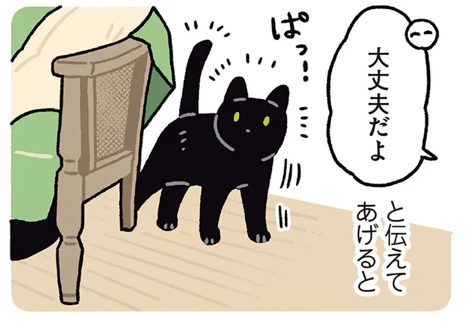 大丈夫だよ