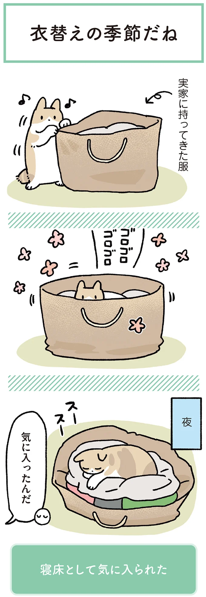 衣替えの季節だね