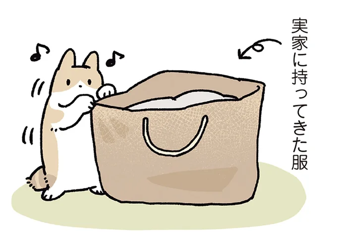 服が入ったカバンが気になる
