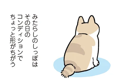 みたらしのしっぽ