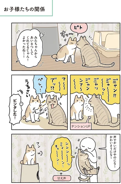 お子様たちの関係