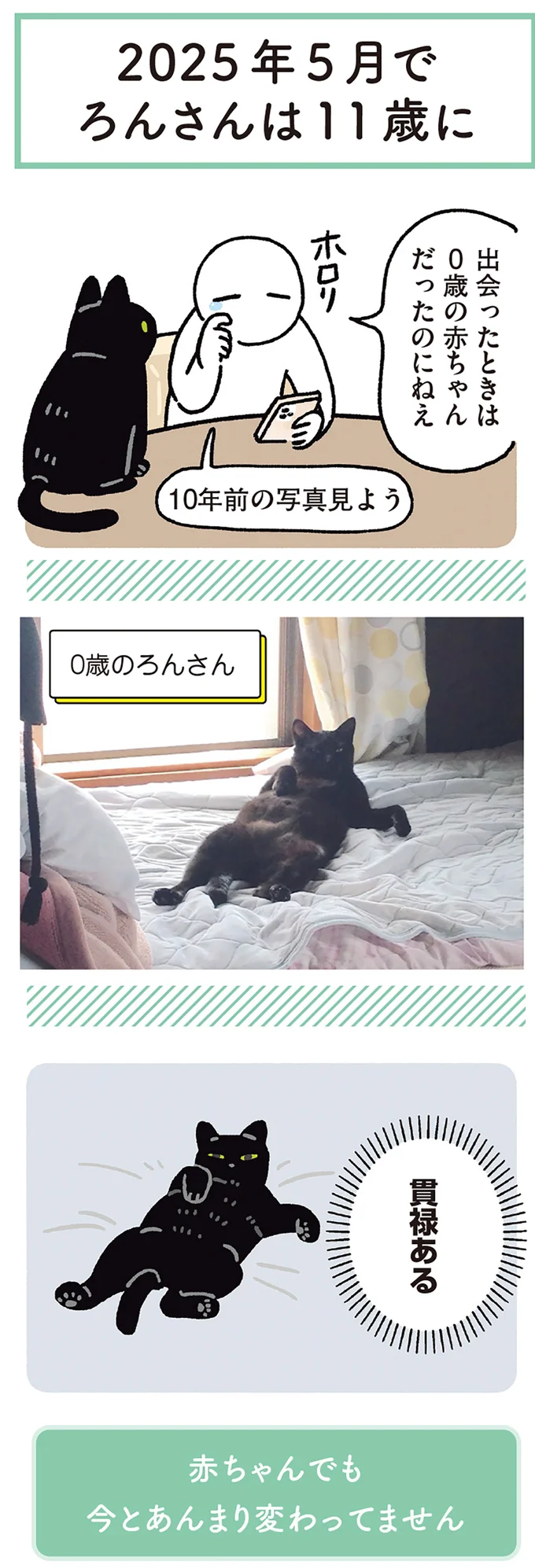 ろんさんは11歳に