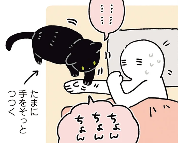「明日起きられるかな…」GW明けの不安を察知？黒猫ろんの親切すぎる行動
