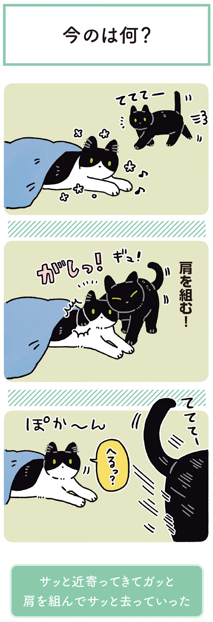 今のは何？