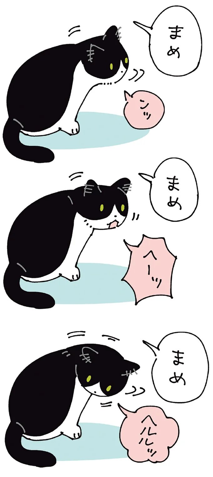 まめを呼ぶと