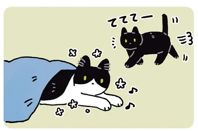 ろんが近づいて行って