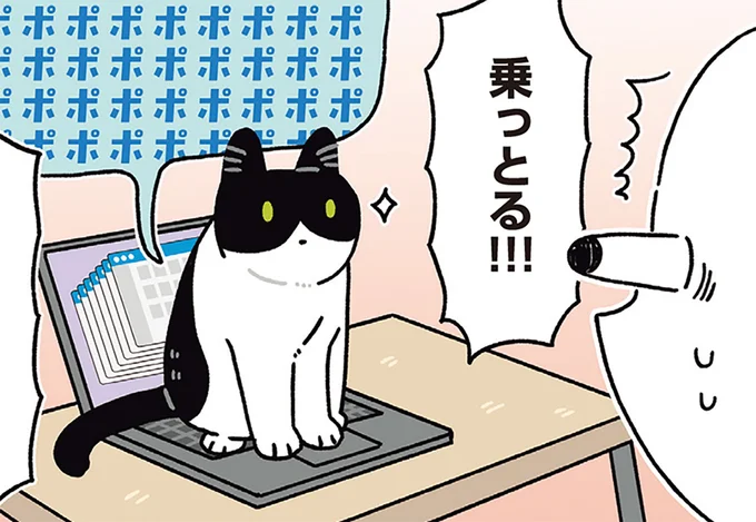 パソコンに乗っとる!!!