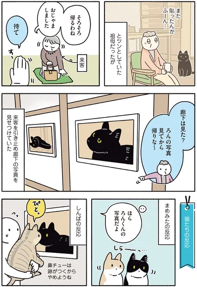廊下は見た？