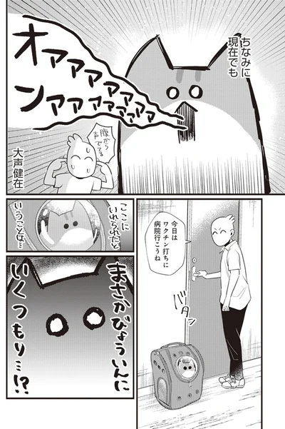  「レオとシロウのドタバタ猫日記」より
