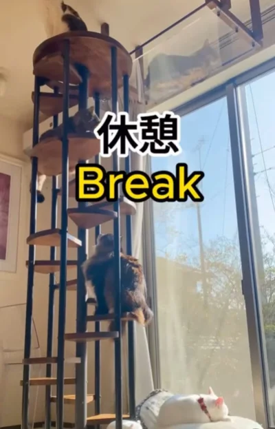 おのおの休憩▶（次画像から猫を飼っている人も、そうでない人も楽しめる「猫あるある」が満載！『レオとシロウのドタバタ猫日記』が読めます）