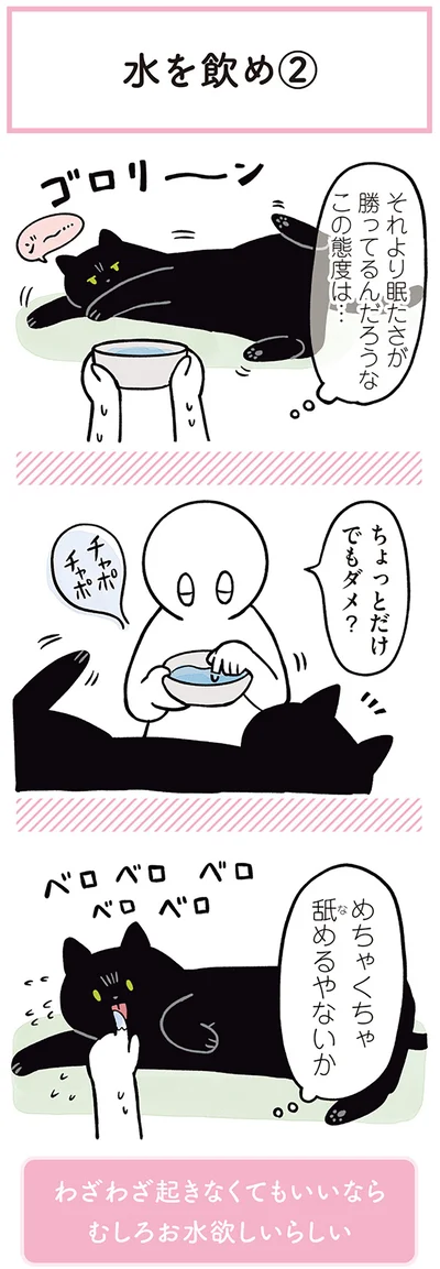 『黒猫ろんと暮らしたら２』より