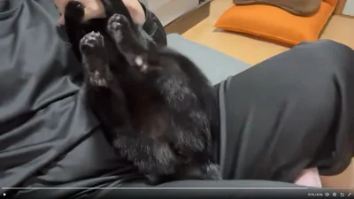 とどめに…▶どーん！！（⇒次へ）