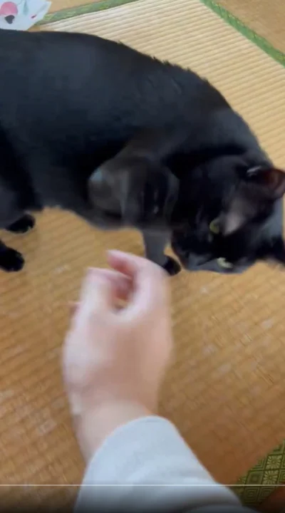不機嫌なお顔…▶この手が…（⇒次へ）