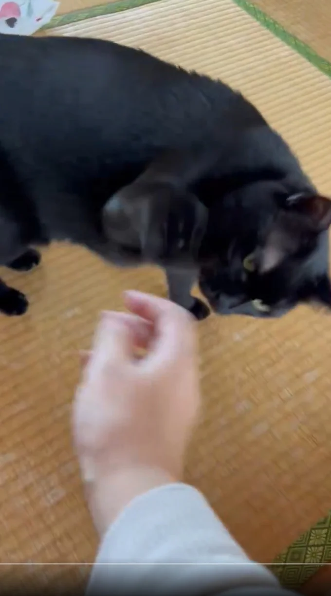 不機嫌なお顔…▶この手が…（⇒次へ）