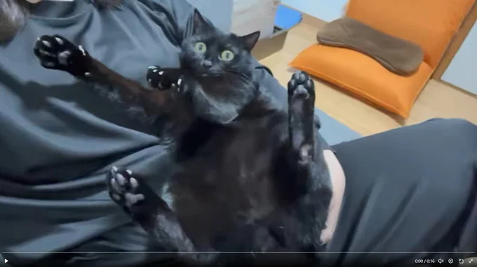 抱っこされていたあさりちゃん▶完全リラックスモードな姿から…(⇒次へ)