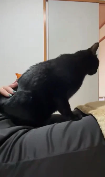 おしりトントン大好き▶以前も話題を集めたあさりちゃんの「おさわりマップ」（⇒次へ）