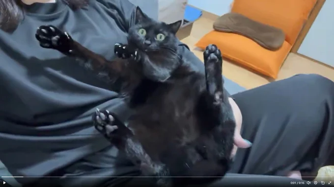 飼い主さんが親指でおしりをなでなで
