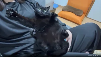 何かに気が付いたあさりちゃん▶おしりをそっとなでなで（⇒次へ）