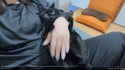 ケリケリケリケリケリケリ▶まだまだ猫キック！（⇒次へ）