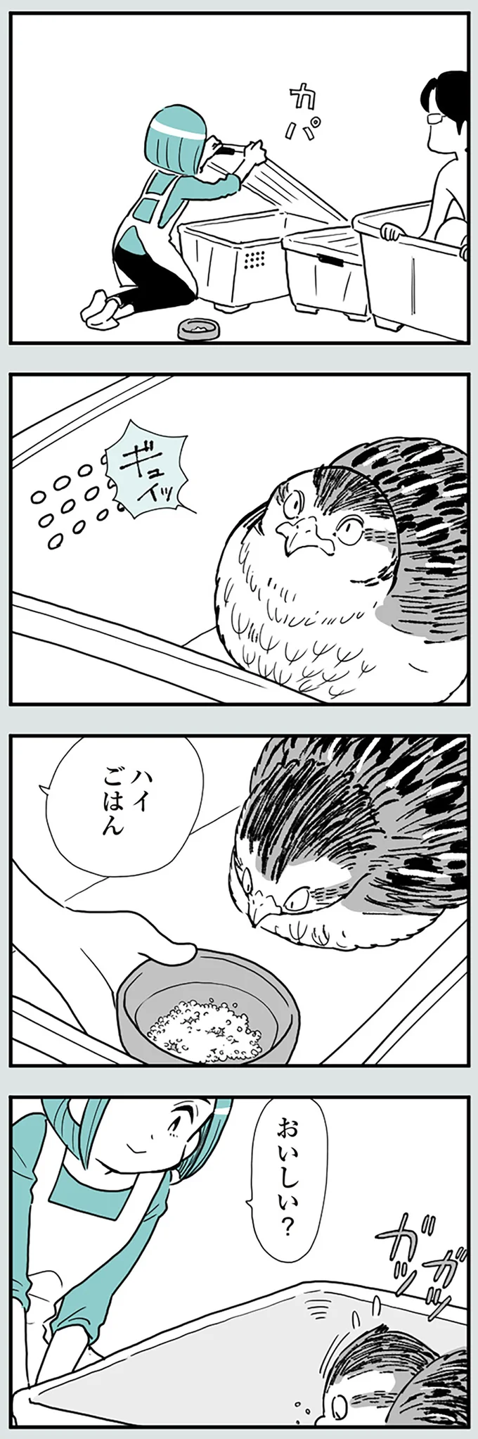 『うずら男〜モラハラかまって夫が人間をやめるまで〜』より