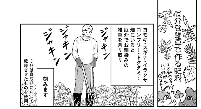 厄介な雑草で作る肥料