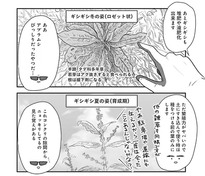 ギシギシも堆肥や液肥化できます