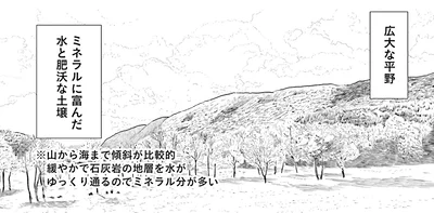 広大な平野