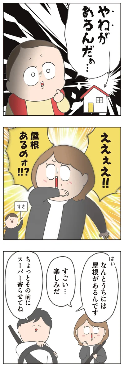 なんとうちには屋根があるんです