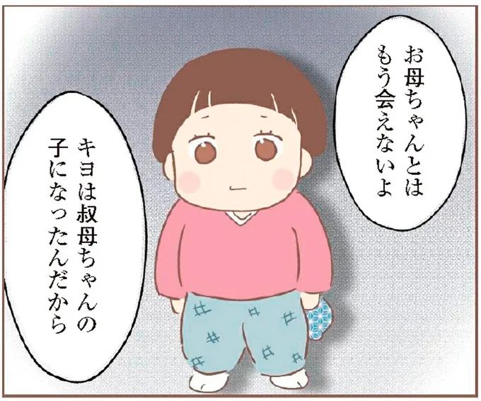 お母ちゃんとはもう会えないよ