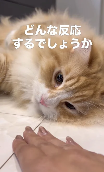 また目の前で100円玉が消えた▶今度はどんな反応をする！？（⇒次へ）